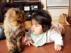 100歳猫と0歳娘