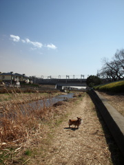 小さくアピール