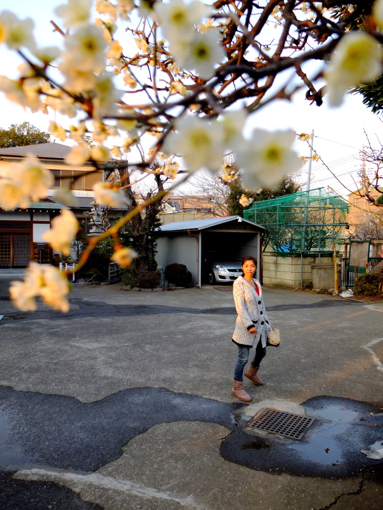 夕飯どうしよう
