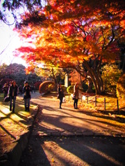 成田山新勝寺2