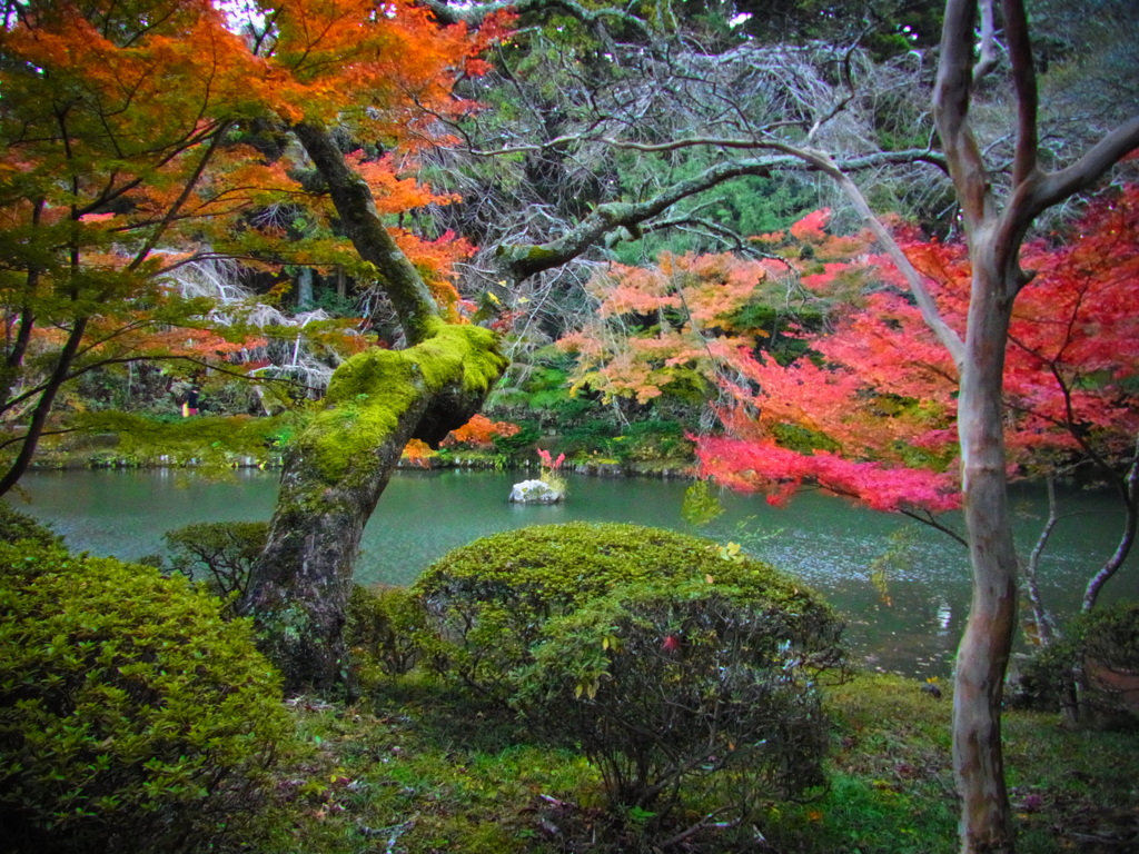 成田山新勝寺7