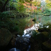 成田山新勝寺11