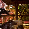 秋深まる東京