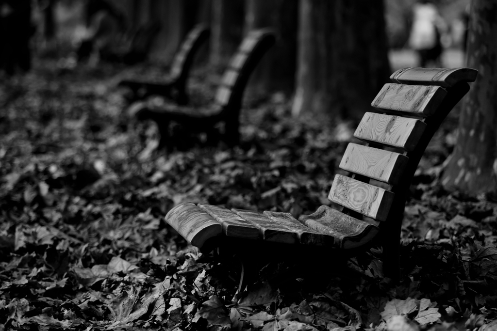 autumn bench