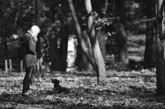 Saturday in the Park