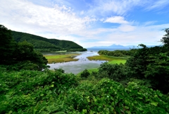 鬼の宿る沼