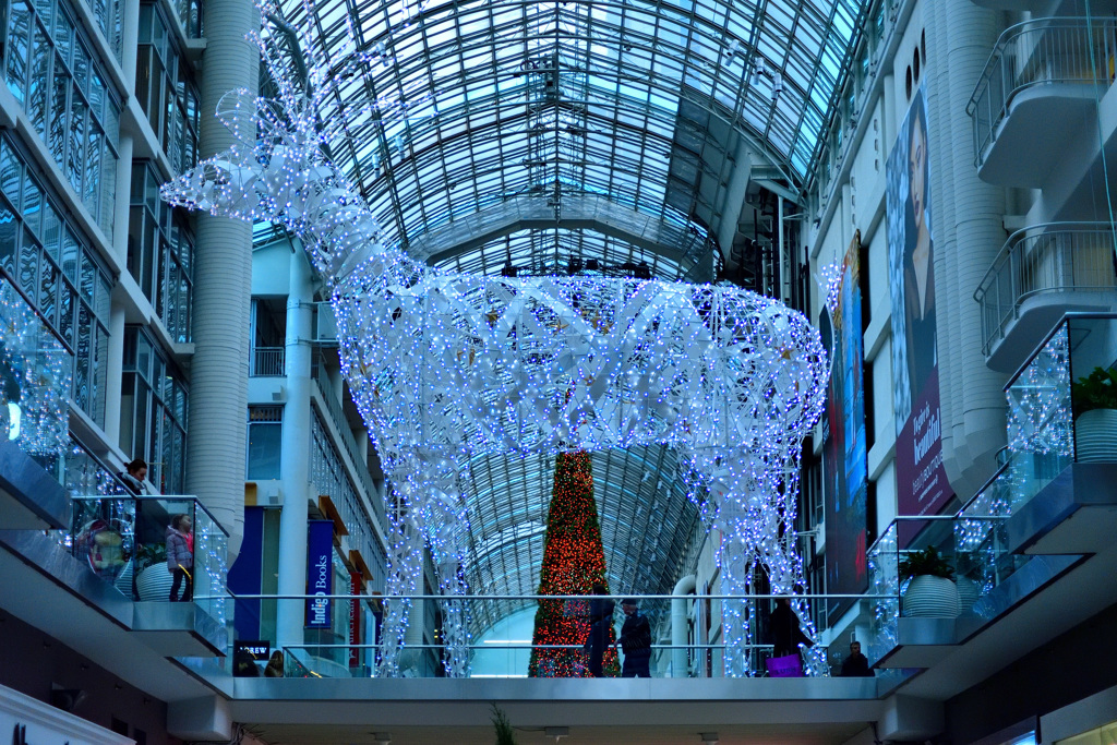 Merry Christmas from Toronto