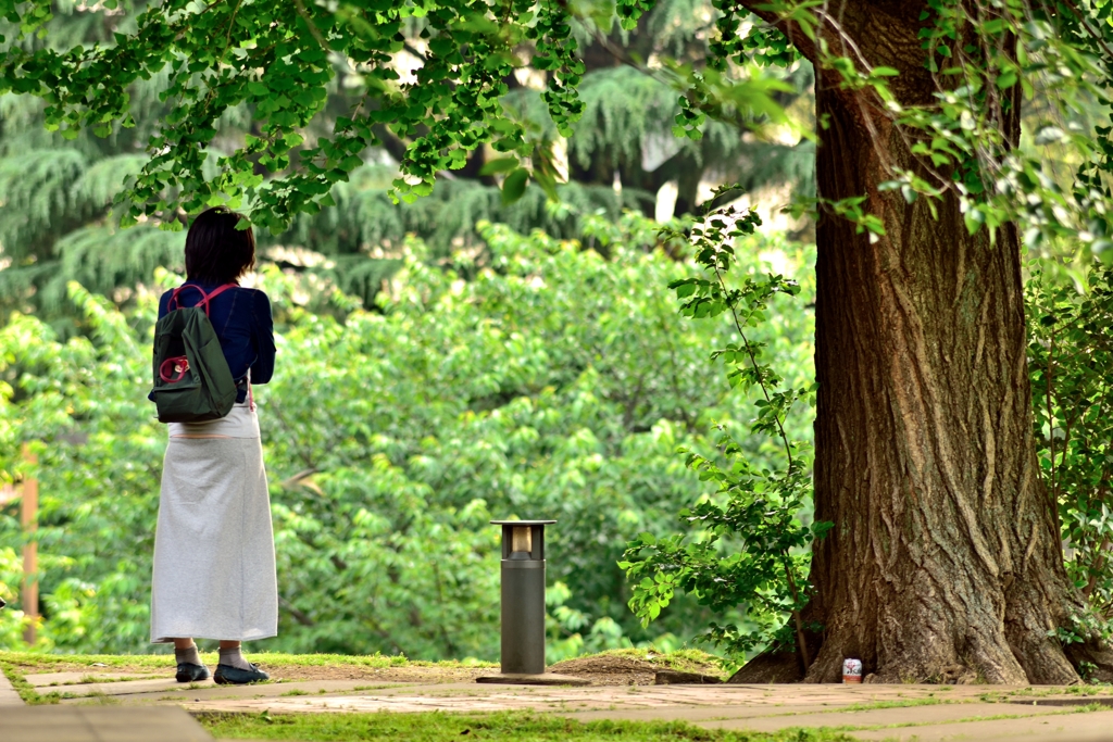 あの木の下で待っているから．．．