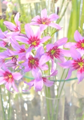 なにも予定のない週末