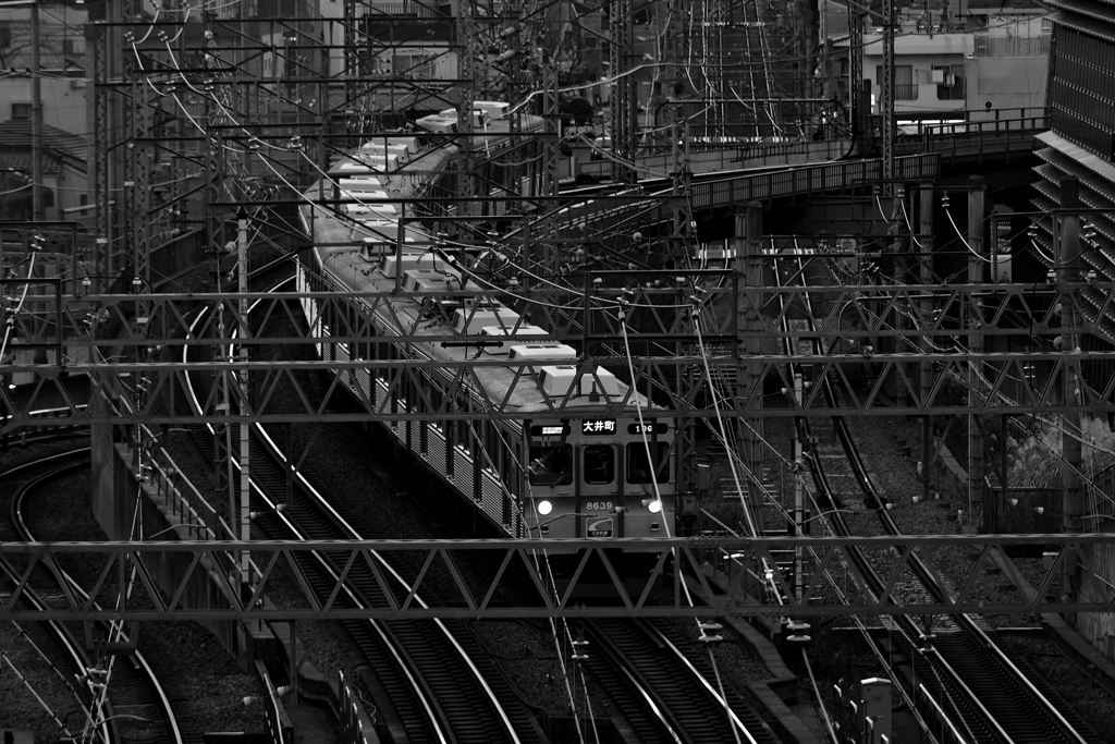 大井町線に乗って