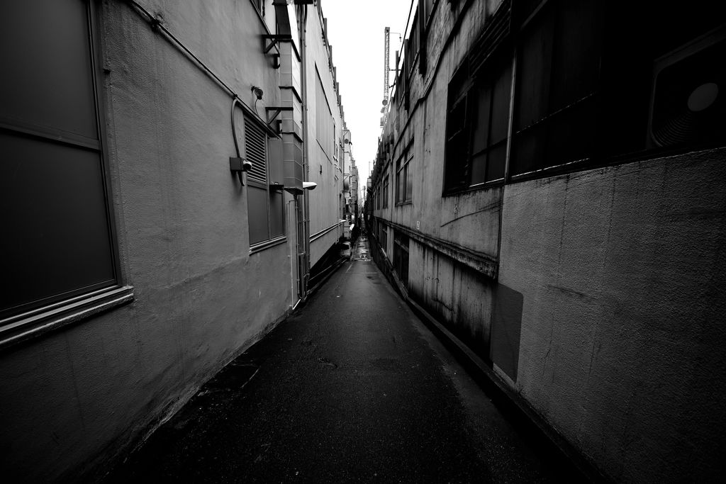 Tokyo Back Street