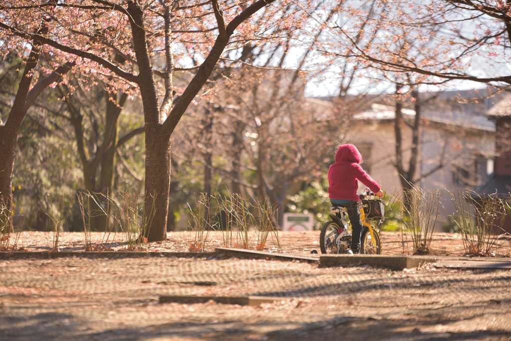 自転車こいで公園へ行こう