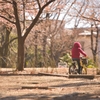 自転車こいで公園へ行こう