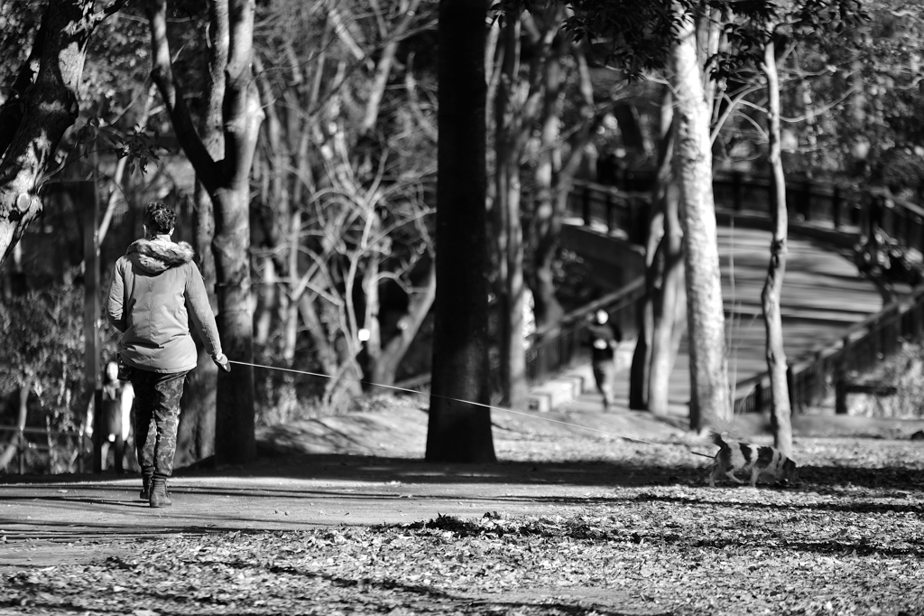 a walk in the park