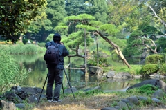 weekend photographer