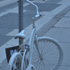 冬色自転車