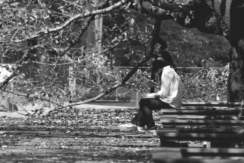 at the Park