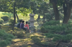 木漏れ日の中で