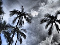 ワイキキビーチ