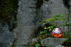 森の中のだるまさん