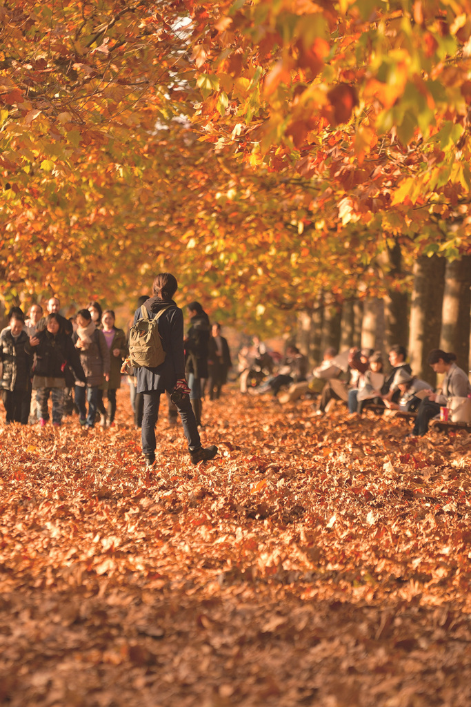 autumn photographer