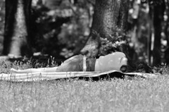 眠れる森の・・・