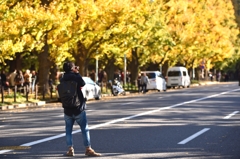 おれの銀杏写真