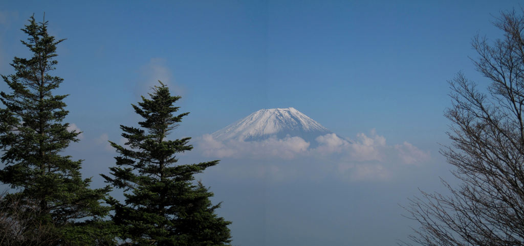 毛無山（山頂）