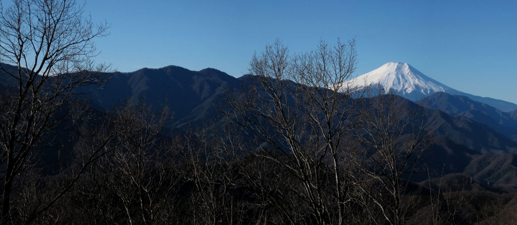 倉岳山（山頂）