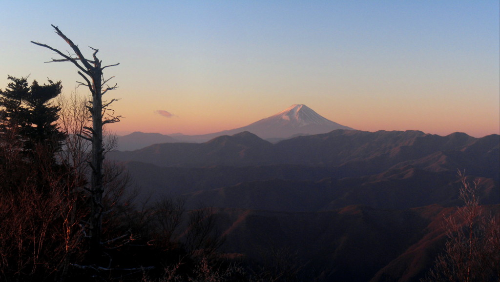 雲取山（山頂）