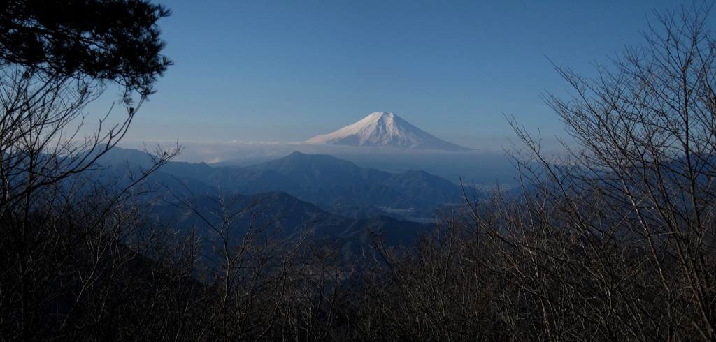 権現山（山頂）