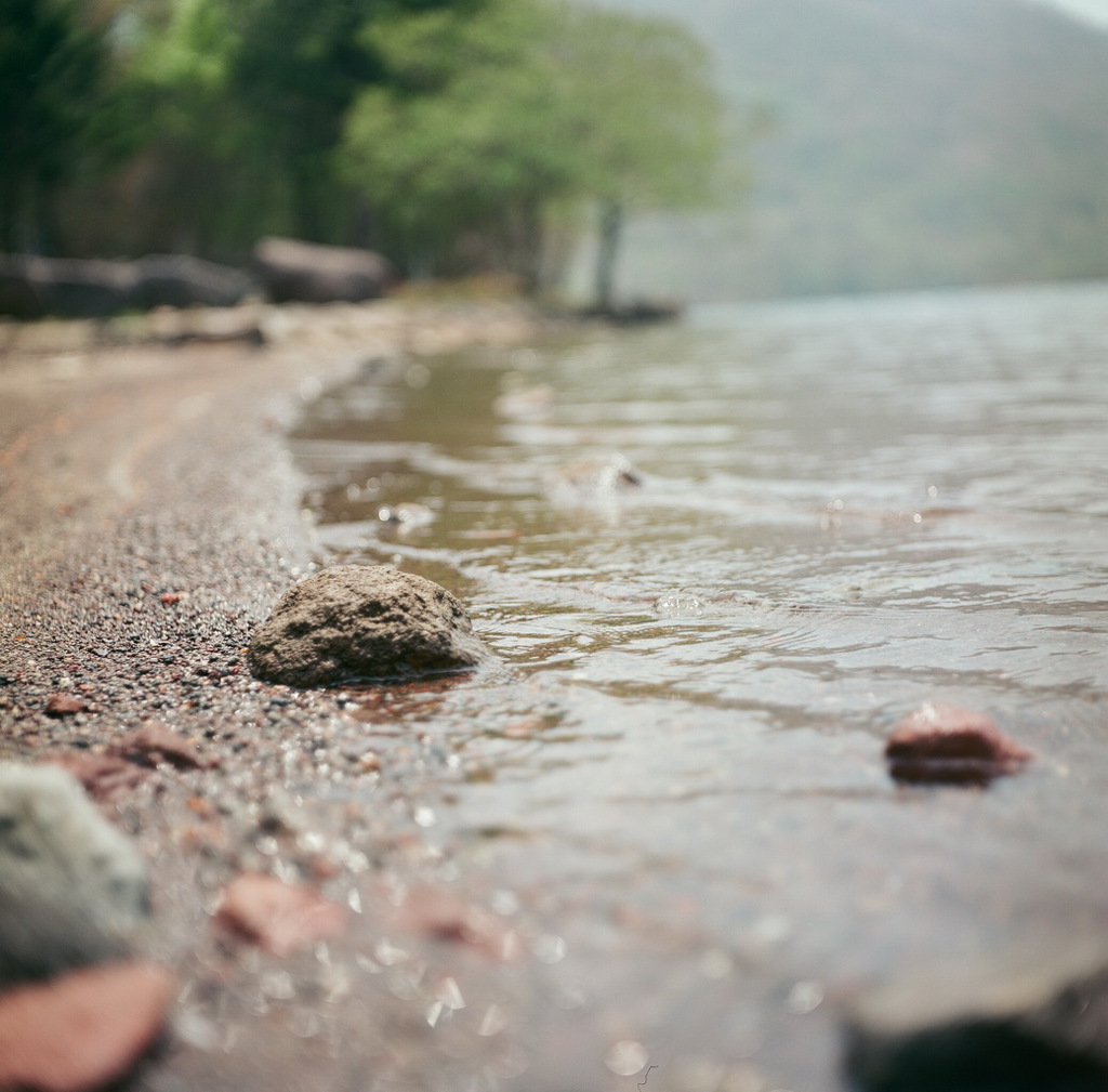 The lake of early summer