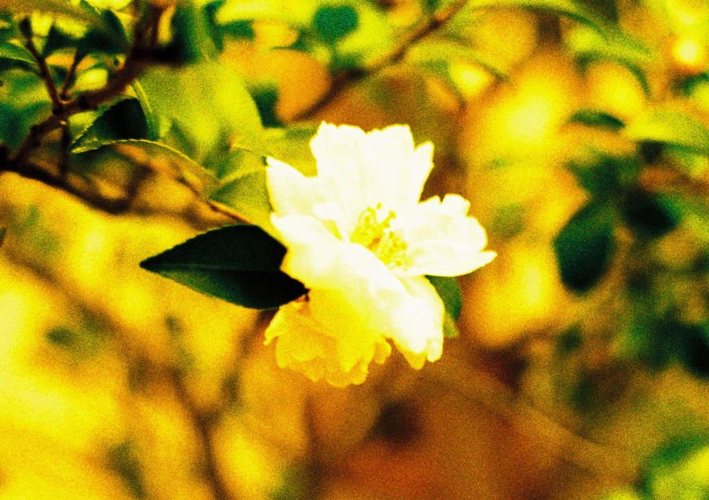 000026_1