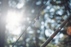 電球