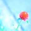 終わりのない愛