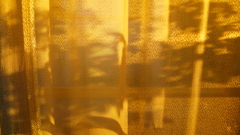 curtain