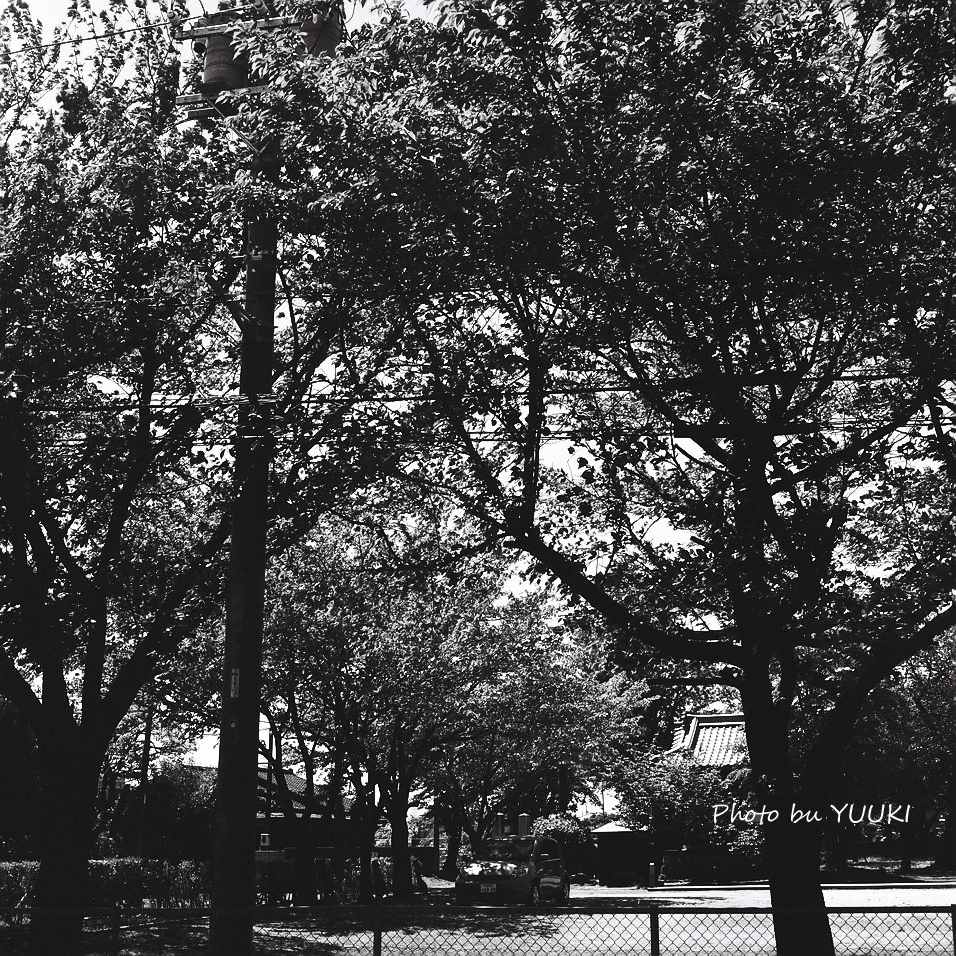 000003_edited-1