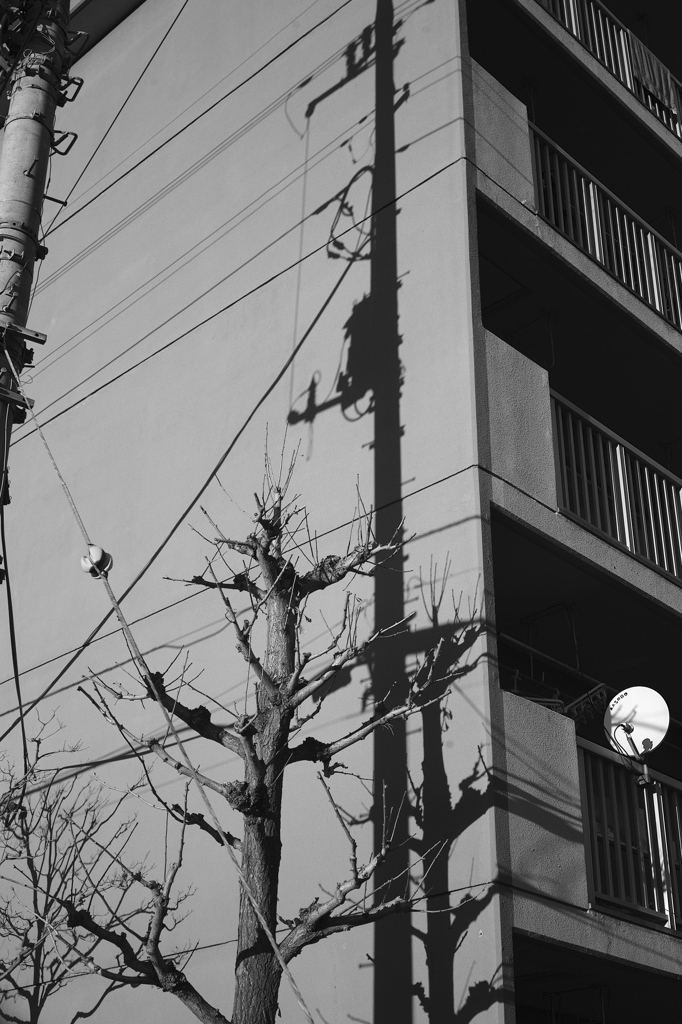 City2