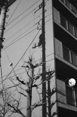 City2
