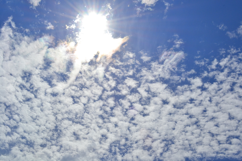 The blue sky on August 26
