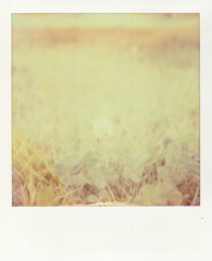 img0010_1