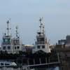 港