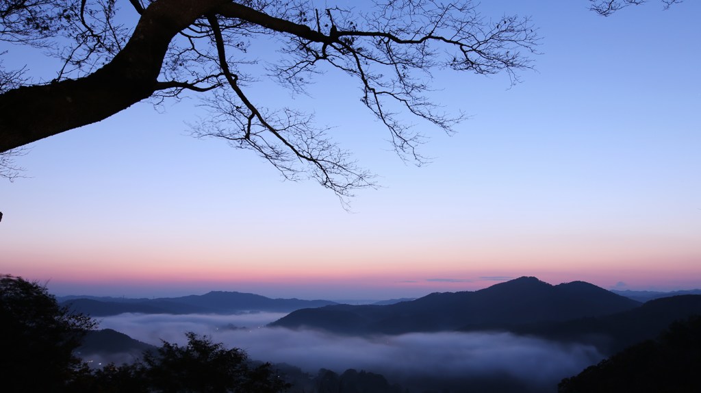雲海
