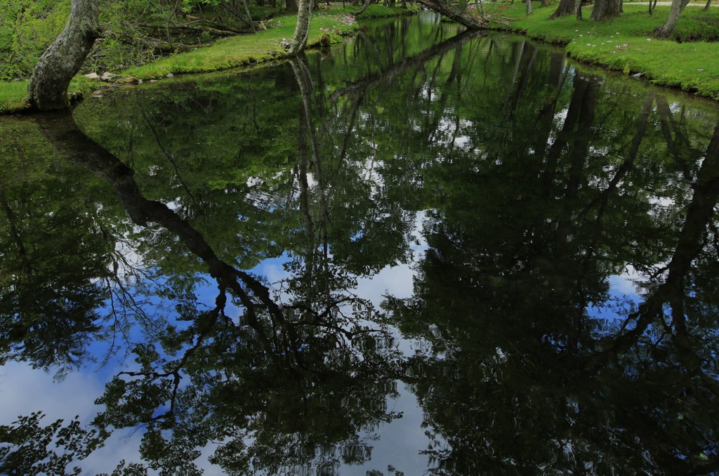 もう一つの景色