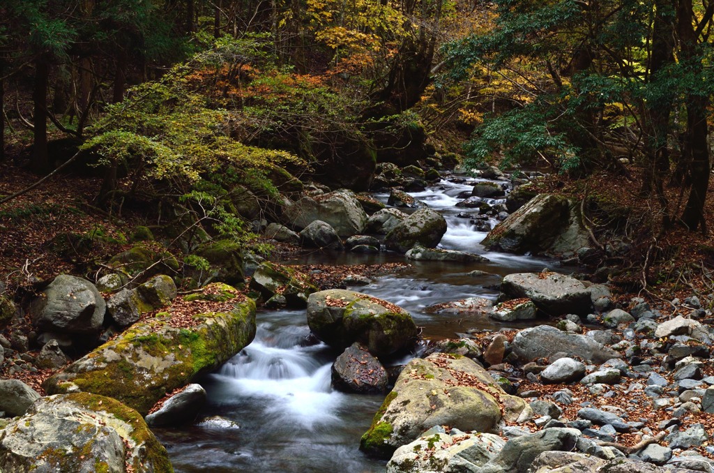 静かな山歩き