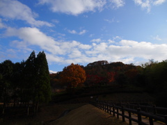 青空と紅葉