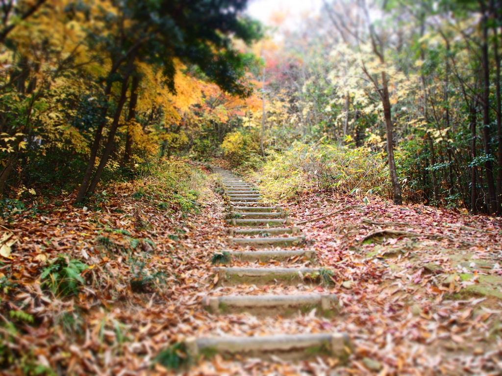 山道