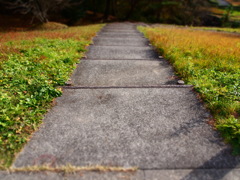 道
