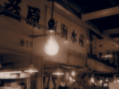 電球－築地市場－