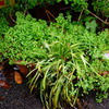 DSC02560